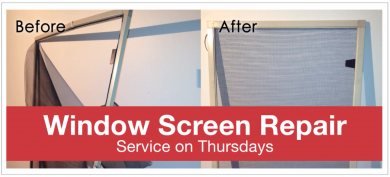 Screen Repair
