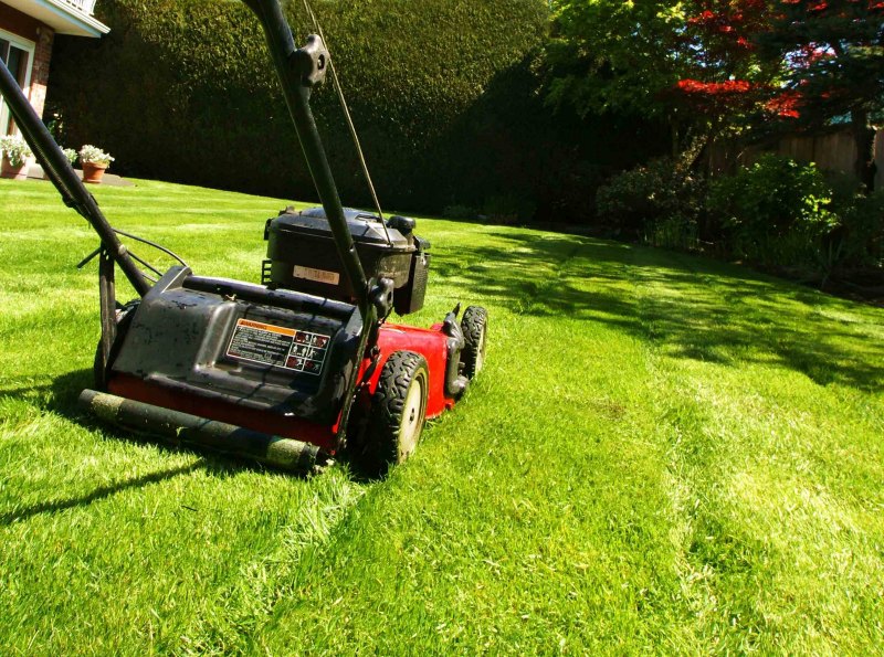 The rain is gone! Is your lawn looking a bit down?